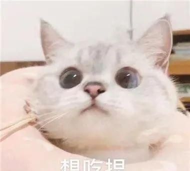 福州大学城逛吃攻略来了图37