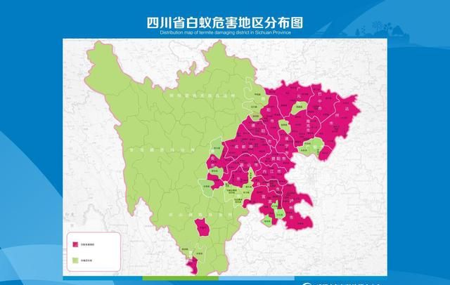 家里有了白蚁怎么办?如何消灭白蚁图1
