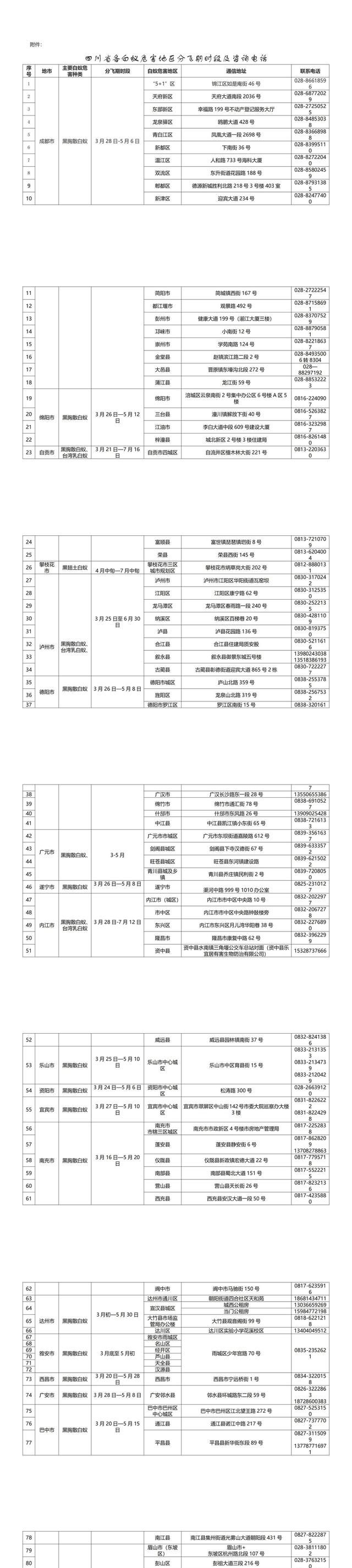 家里有了白蚁怎么办?如何消灭白蚁图3
