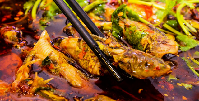 新津美食
,观大运赛事,品新津美食图2