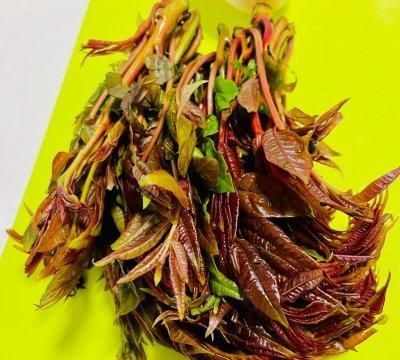 如何制作香椿炒蛋图2