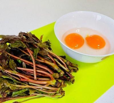 如何制作香椿炒蛋图4