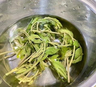 如何制作香椿炒蛋图11