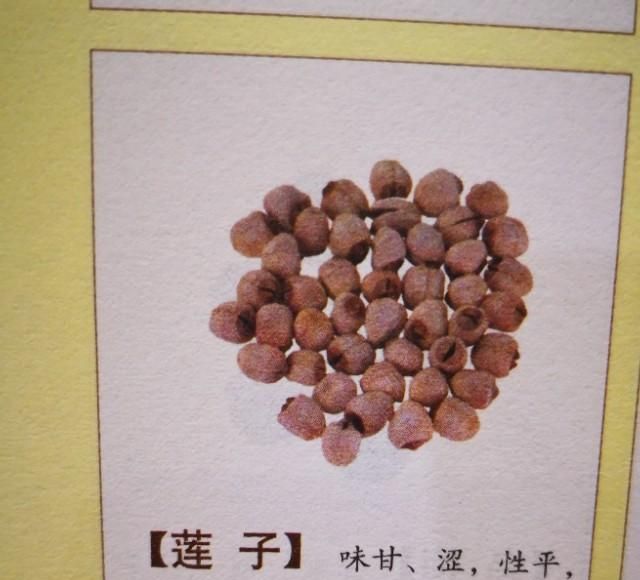 清补凉是什么样子的,清补凉在内地叫什么图4