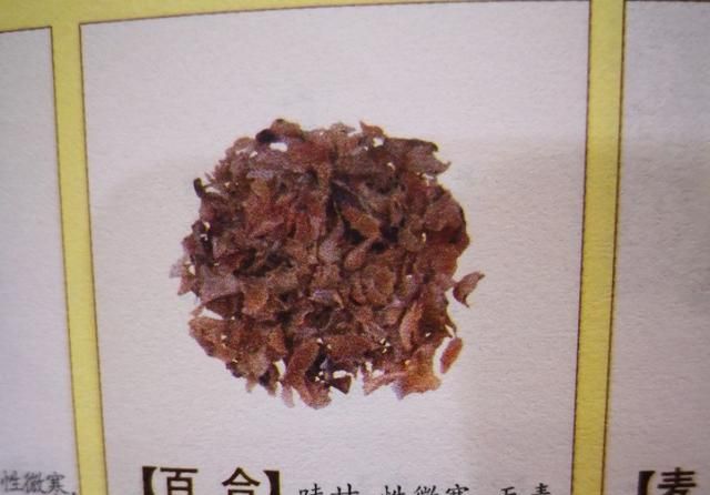 清补凉是什么样子的,清补凉在内地叫什么图6