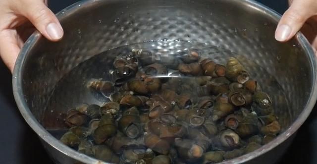 洗花蛤别只用盐水老渔民教一招(花蛤盐水泡多久吐沙干净)图9