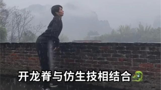 开龙脊和仿生技相结合什么意思(开龙脊锻炼教程)图1