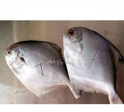 炖海鲳鱼的做法,家常炖冰冻鲳鱼的最佳做法图3