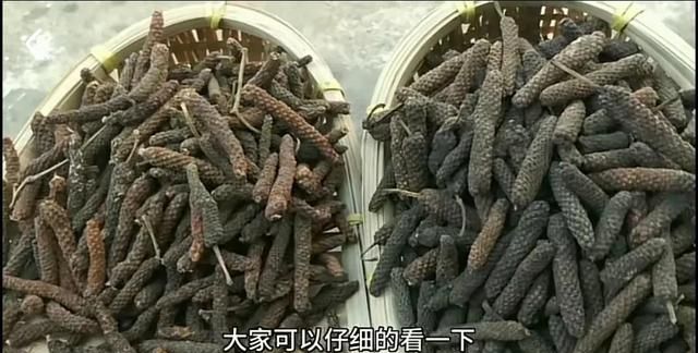 香料包的秘密4香料界的斜杠青年图4
