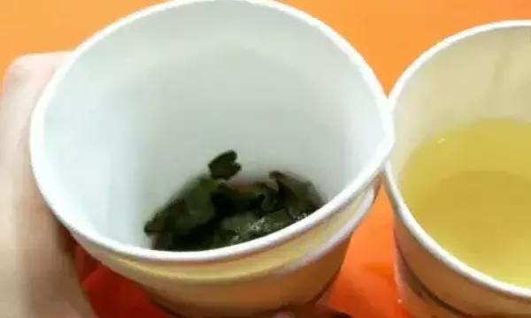 垃圾分类湿垃圾怎么丢图14
