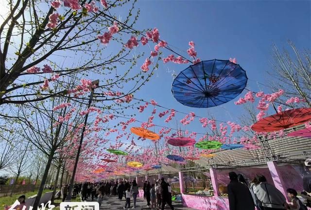 雄安新区容城县花海公园游玩攻略图2