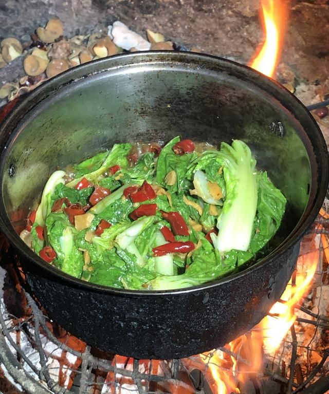 自做美食
,背包客走遍中国第5年,分享路上自做19道美食:看过会不会流口水图9
