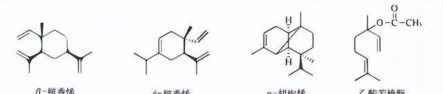 植物挥发油的提取方法图11