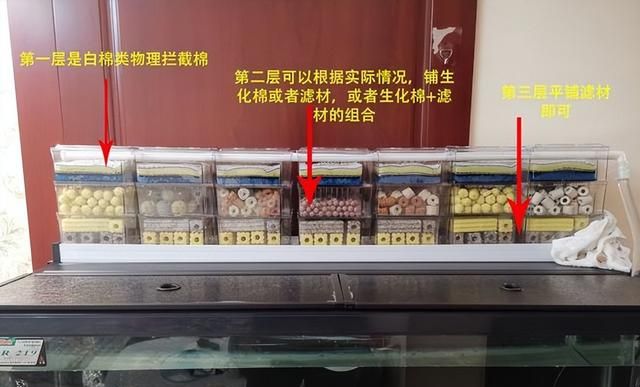 养鱼就要有自己的思维,理解其中的意义,你也可以轻松养鱼
