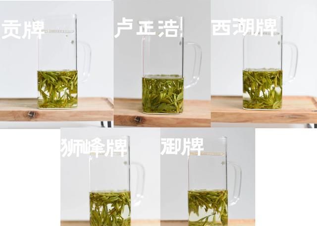 5000元左右龙井怎么选?中高级龙井茶横向评测