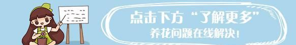 鞋子沾点鸡蛋黄,一抹污渍全消失,比新买的还干净!