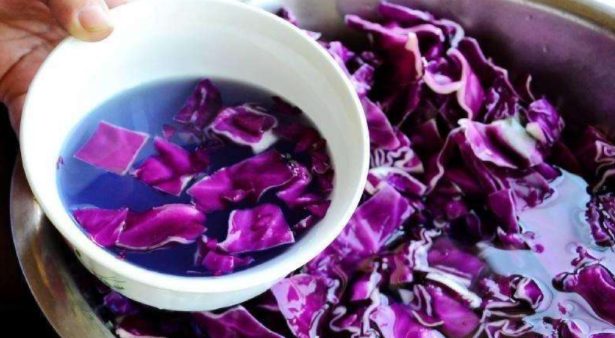 包菜和紫甘蓝,是同种蔬菜吗?营养师:紫甘蓝补钙、抗衰老效果好