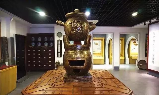 广州老城区一巷子里的博物馆,竟藏着一片原始森林!