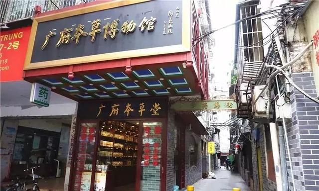 广州老城区一巷子里的博物馆,竟藏着一片原始森林!