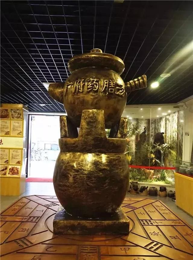 广州老城区一巷子里的博物馆,竟藏着一片原始森林!