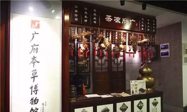 广州老城区一巷子里的博物馆,竟藏着一片原始森林!