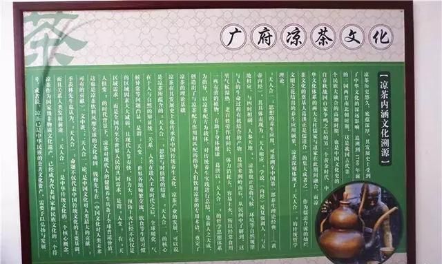 广州老城区一巷子里的博物馆,竟藏着一片原始森林!