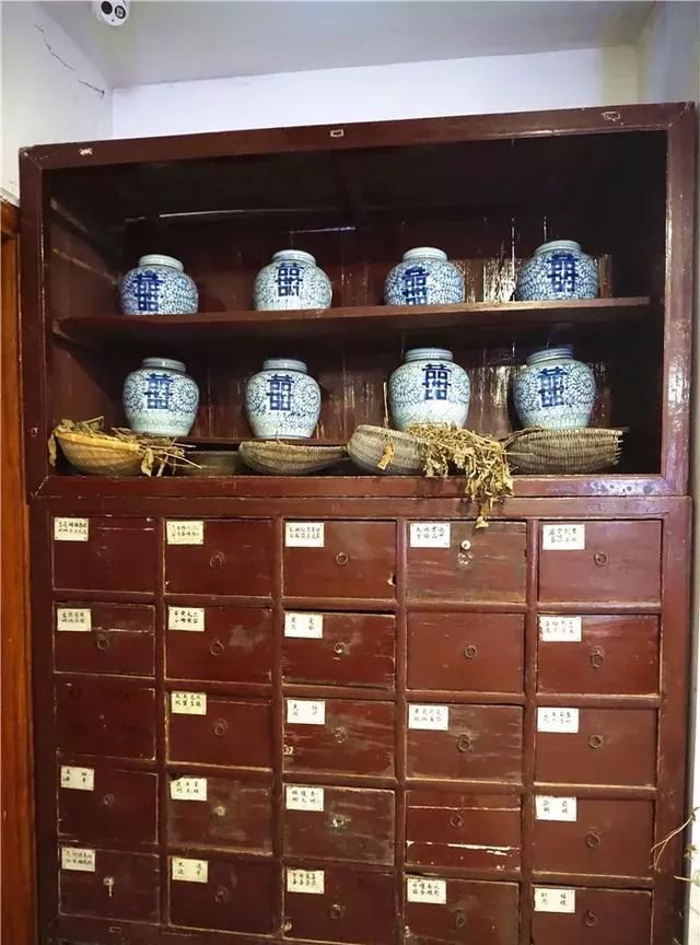 广州老城区一巷子里的博物馆,竟藏着一片原始森林!