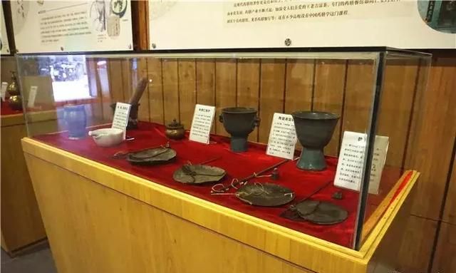 广州老城区一巷子里的博物馆,竟藏着一片原始森林!