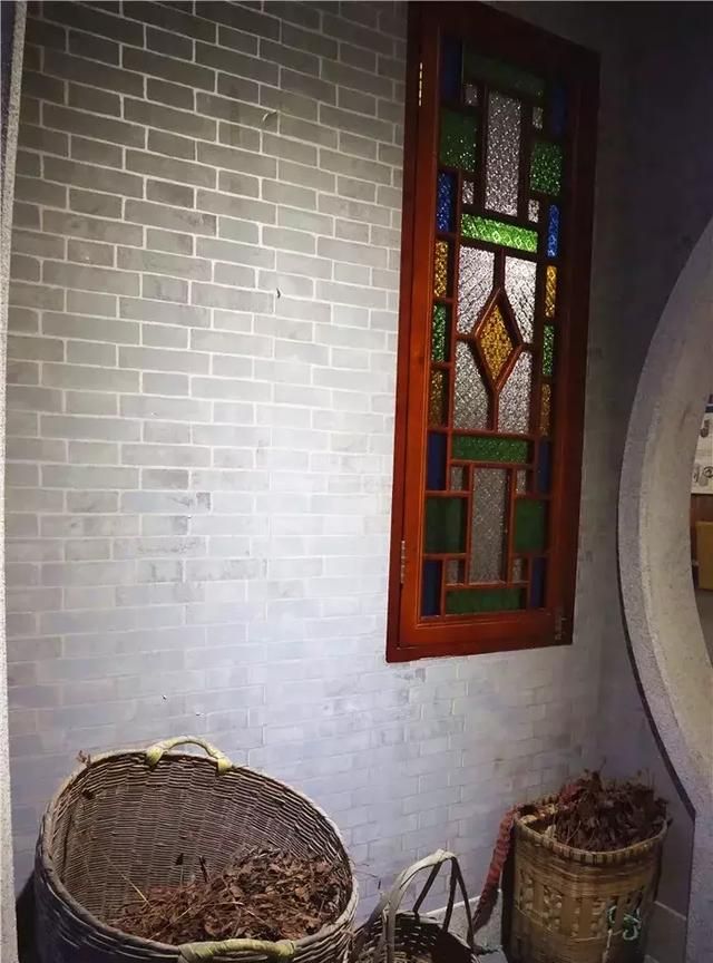 广州老城区一巷子里的博物馆,竟藏着一片原始森林!