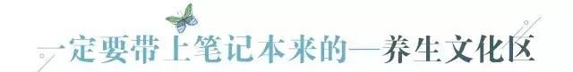 广州老城区一巷子里的博物馆,竟藏着一片原始森林!