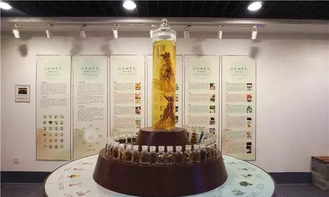 广州老城区一巷子里的博物馆,竟藏着一片原始森林!