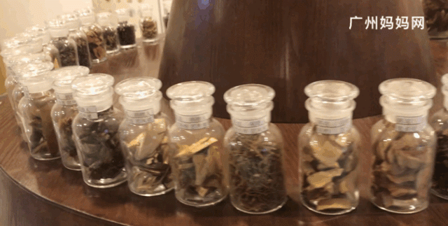 广州老城区一巷子里的博物馆,竟藏着一片原始森林!