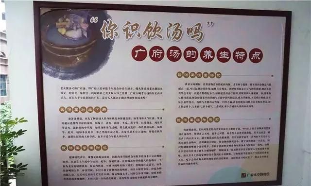 广州老城区一巷子里的博物馆,竟藏着一片原始森林!