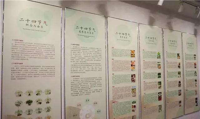 广州老城区一巷子里的博物馆,竟藏着一片原始森林!