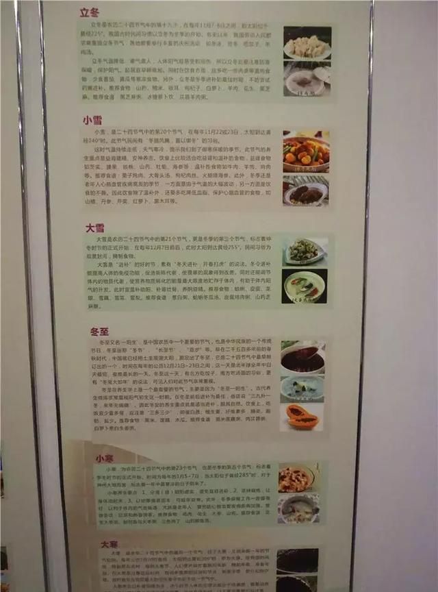 广州老城区一巷子里的博物馆,竟藏着一片原始森林!