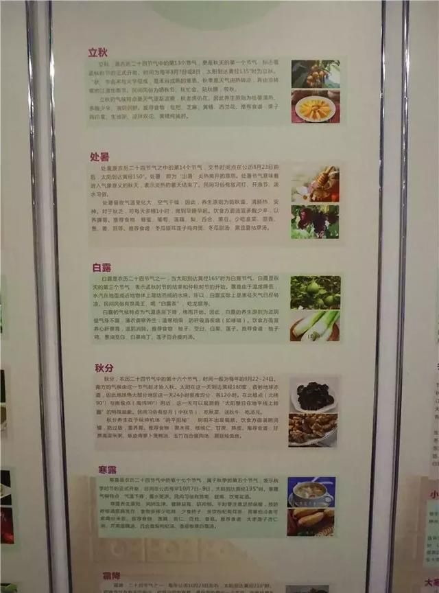 广州老城区一巷子里的博物馆,竟藏着一片原始森林!