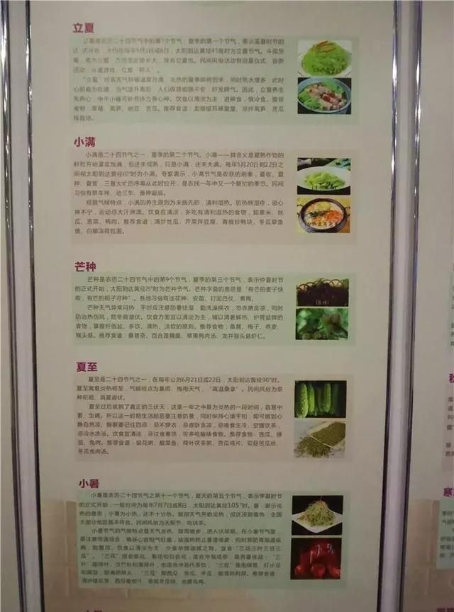 广州老城区一巷子里的博物馆,竟藏着一片原始森林!