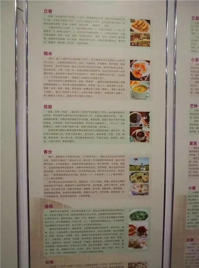 广州老城区一巷子里的博物馆,竟藏着一片原始森林!