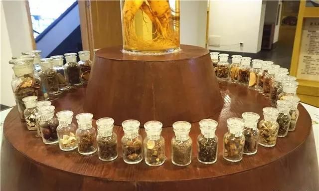 广州老城区一巷子里的博物馆,竟藏着一片原始森林!