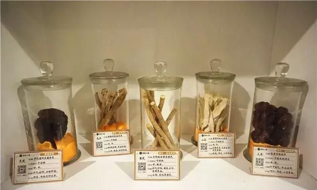 广州老城区一巷子里的博物馆,竟藏着一片原始森林!
