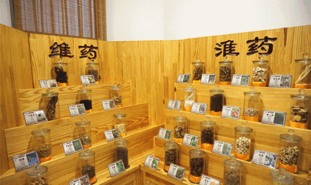 广州老城区一巷子里的博物馆,竟藏着一片原始森林!