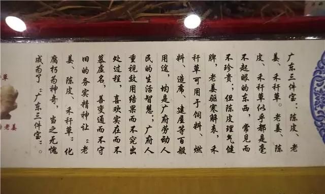 广州老城区一巷子里的博物馆,竟藏着一片原始森林!
