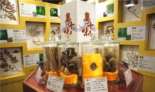 广州老城区一巷子里的博物馆,竟藏着一片原始森林!