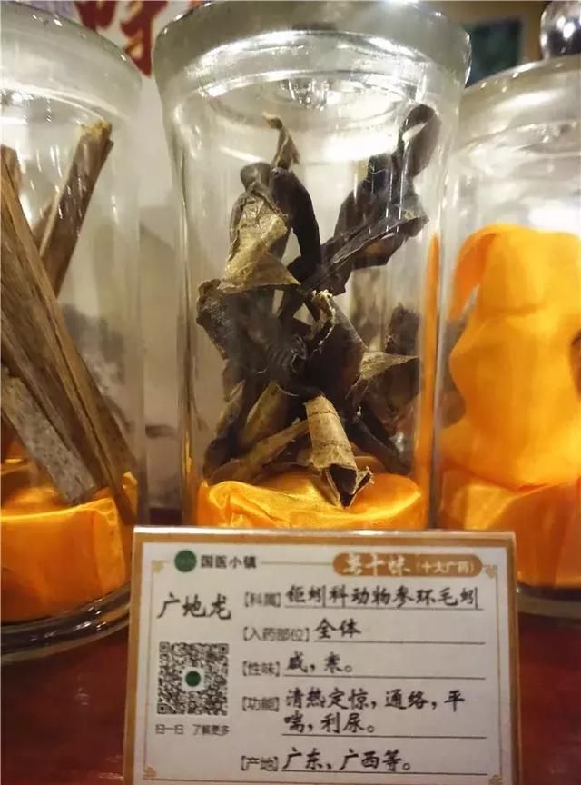广州老城区一巷子里的博物馆,竟藏着一片原始森林!