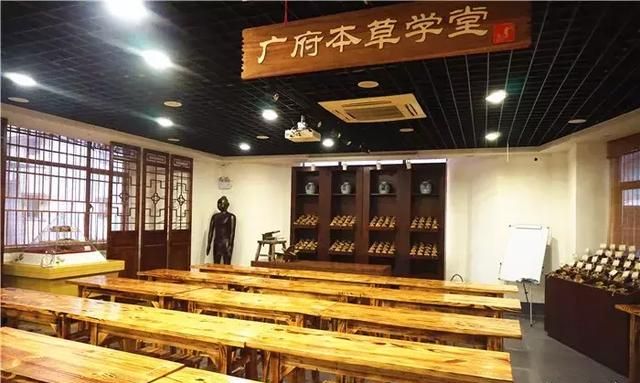广州老城区一巷子里的博物馆,竟藏着一片原始森林!