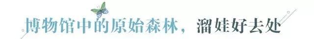 广州老城区一巷子里的博物馆,竟藏着一片原始森林!