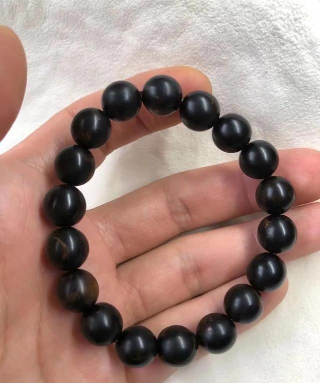 乌柳和海铁树还有藤柳,真正的海柳指的是什么?