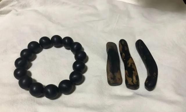 乌柳和海铁树还有藤柳,真正的海柳指的是什么?