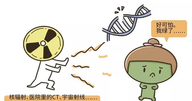 “蕉虑”!香蕉居然也有辐射?