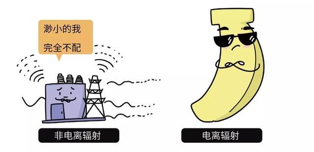 “蕉虑”!香蕉居然也有辐射?